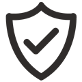 Secure Icon